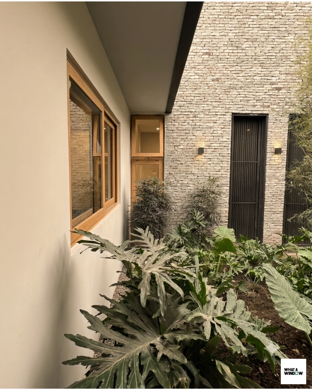 Proyecto What a Window