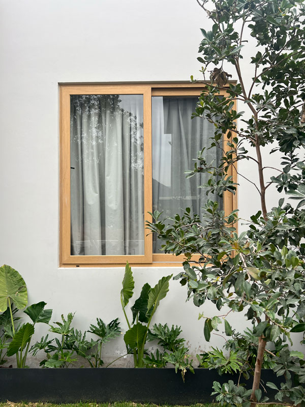 Proyecto What a Window