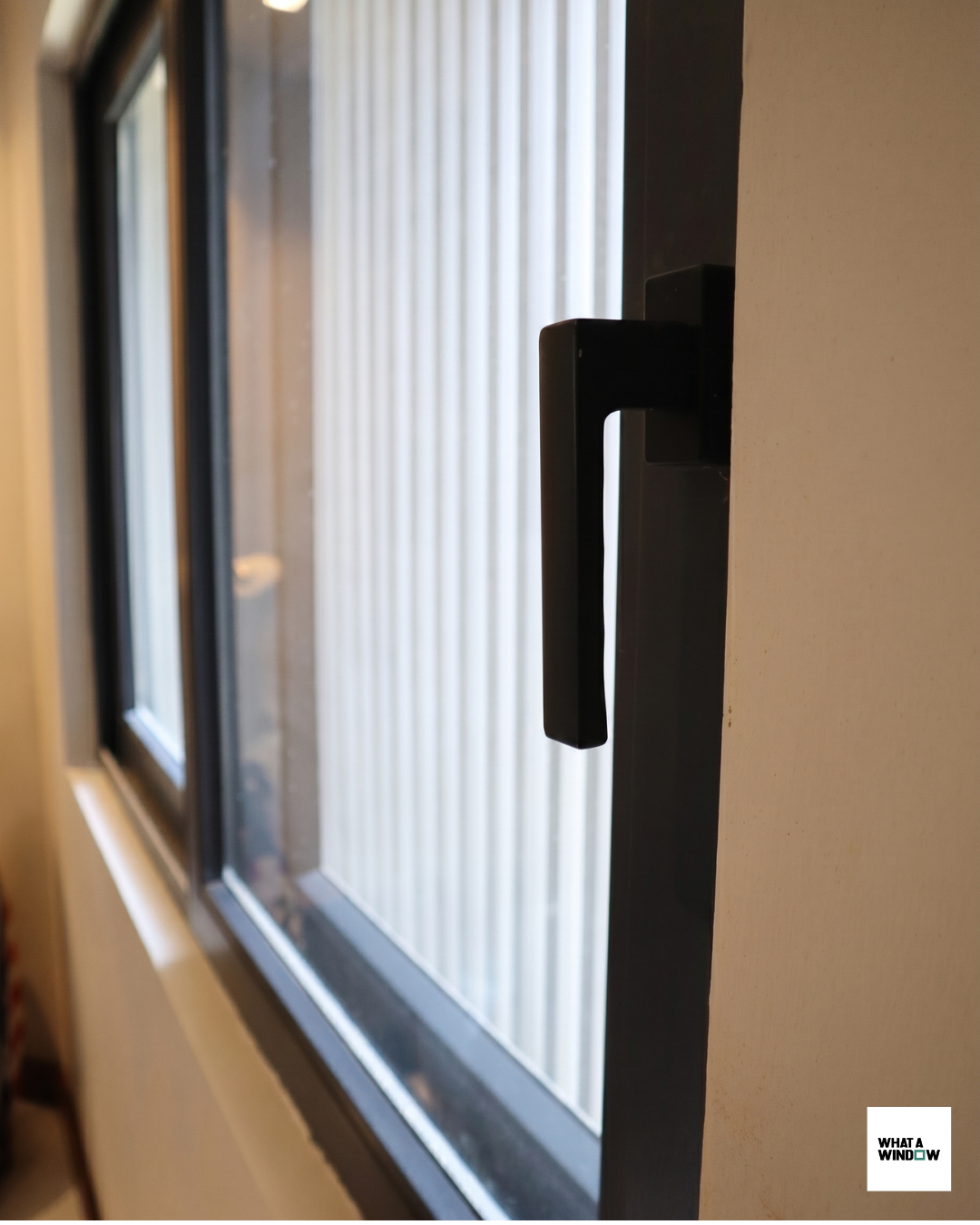 Proyecto What a Window